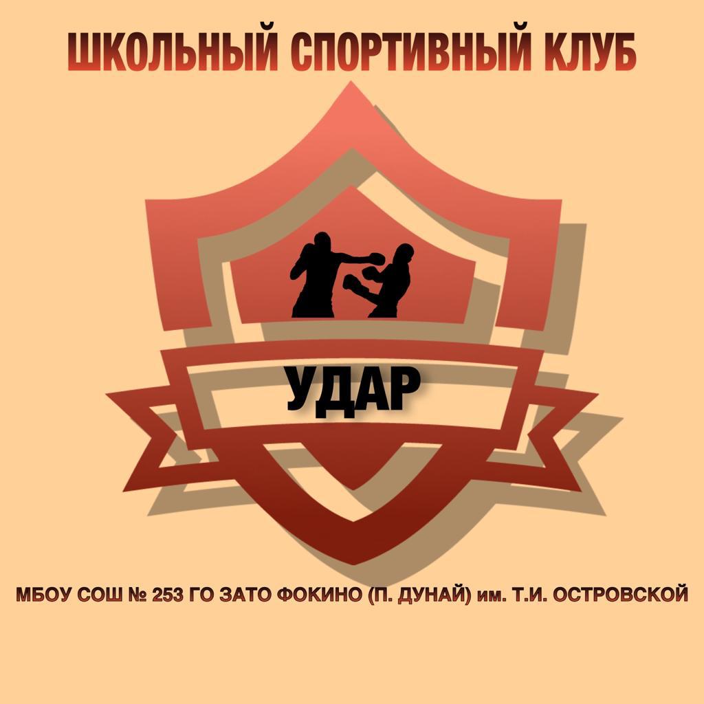 Школьный спортивный клуб &amp;quot;Удар&amp;quot;